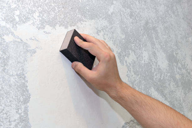 Best Air Quality Testing for Mold Spores  in Bronx, NY