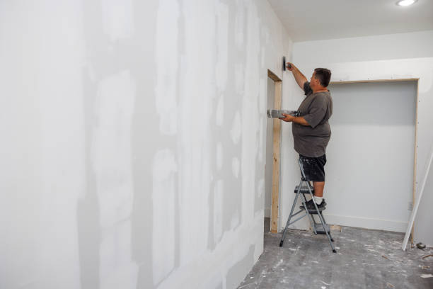 Best Mold Removal for HVAC Installations  in Bronx, NY