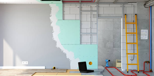 Trusted Bronx, NY Mold Removal Experts