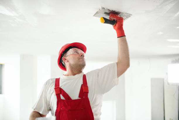 Best Comprehensive Air Testing for Mold Contaminants  in Bronx, NY