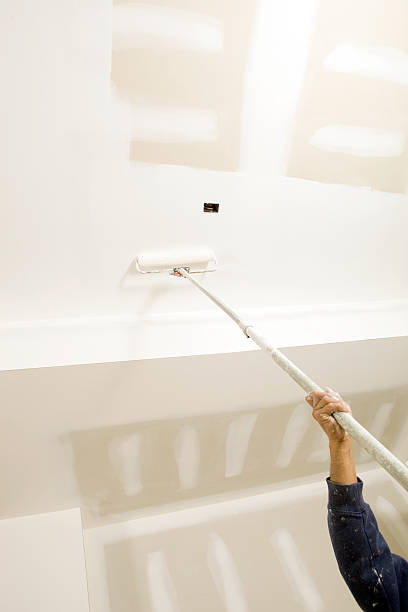 Best Asbestos and Lead Testing During Mold Inspection  in Bronx, NY
