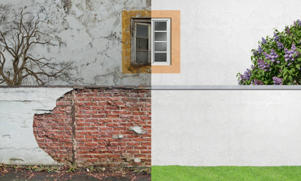 Best Environmental Consulting for Mold Prevention  in Bronx, NY