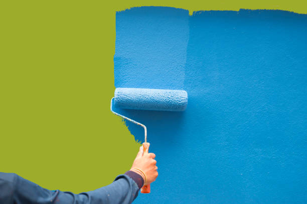 Best Mold Odor Removal Services  in Bronx, NY